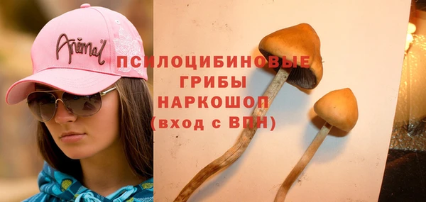 прущие крисы Бронницы