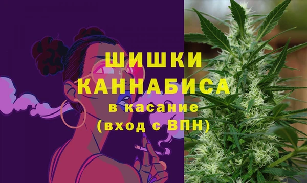 гидропоника Бородино